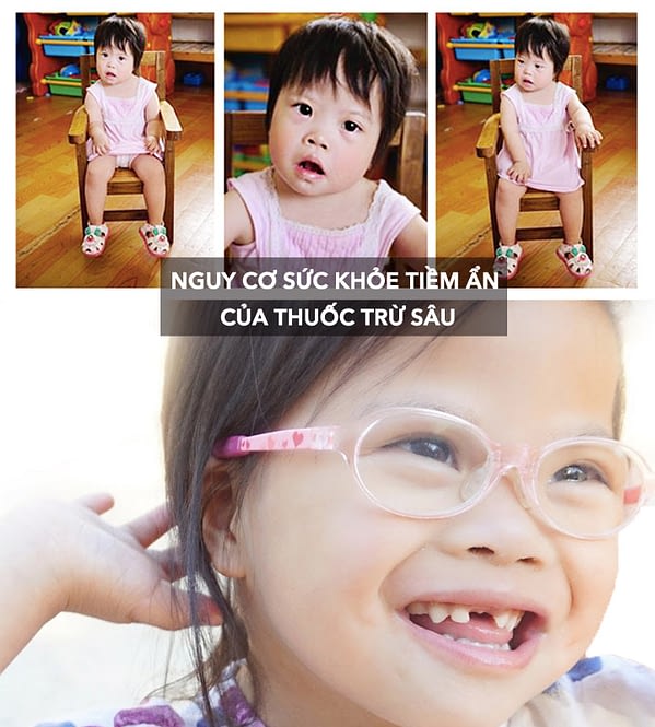 MeetRosie