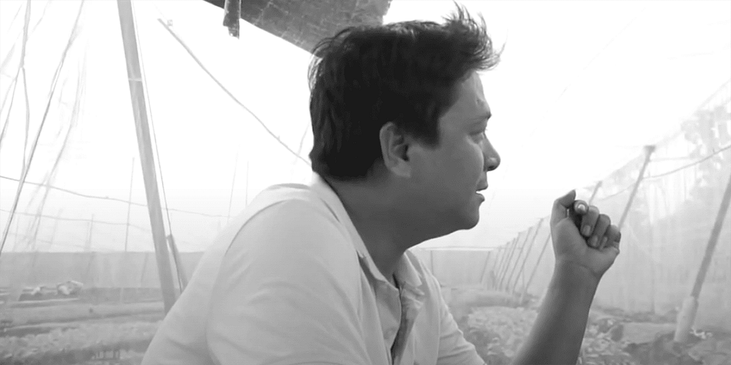 anh nha - vuon rau huu co dong nai